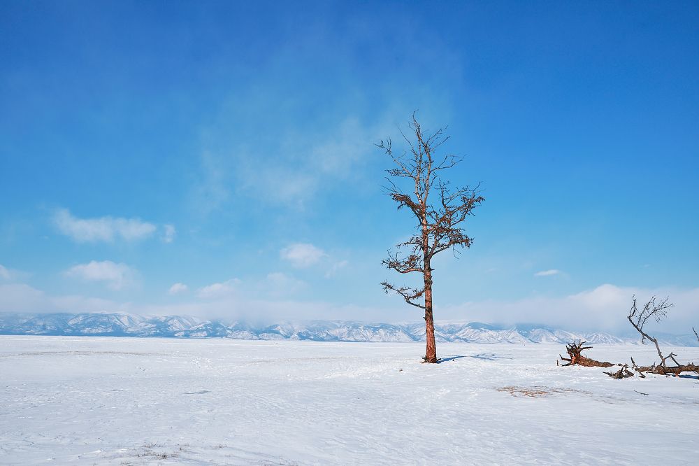 Photograph by Анна Урусова