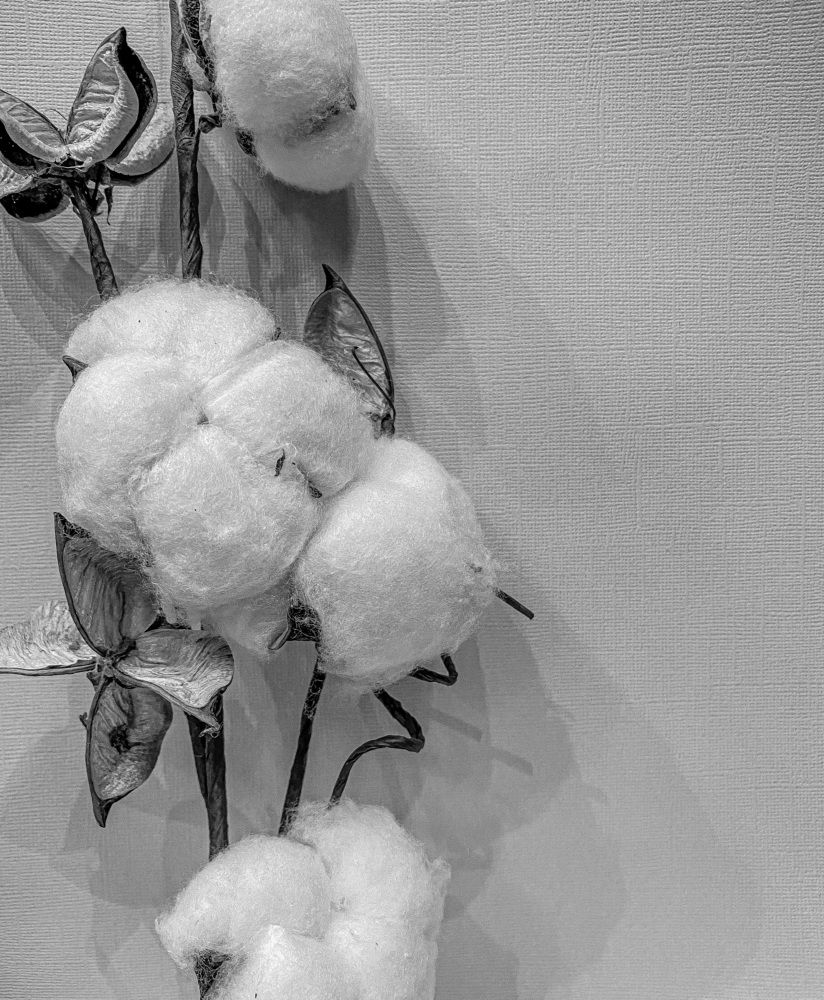 Photograph by Виктория Лаур