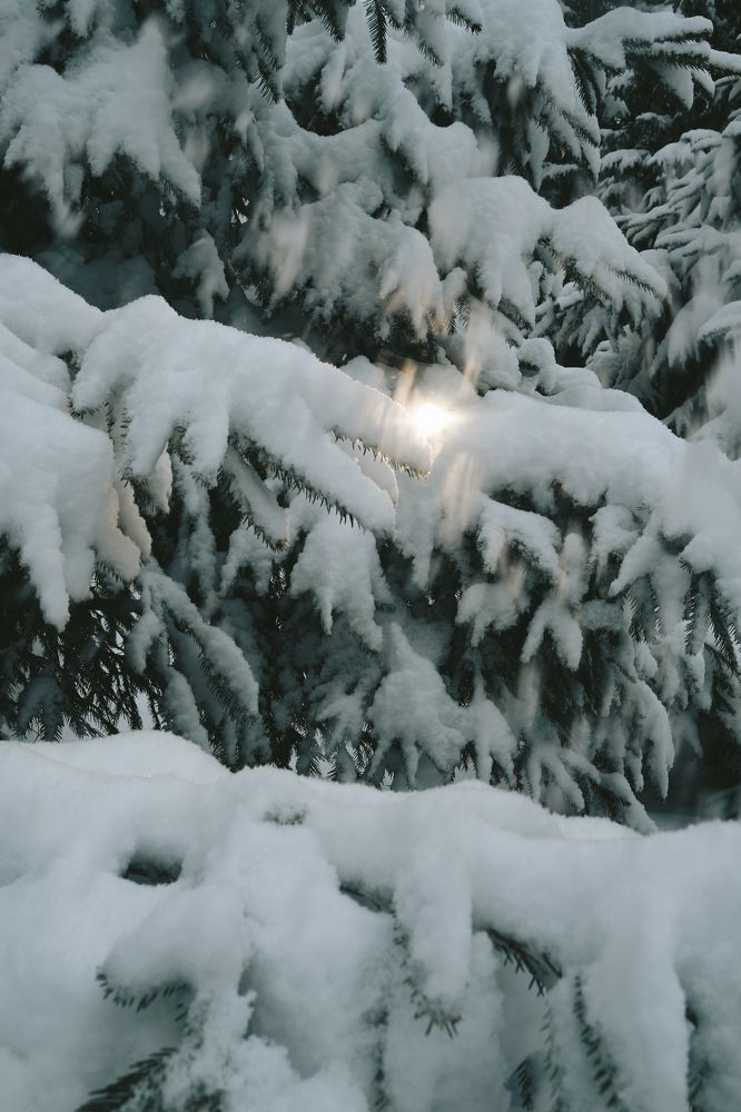 Photograph by ЕКАТЕРИНА ВЛАСОВА