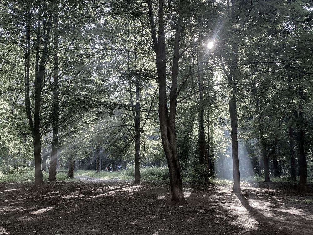 Photograph by Виктория Лаур