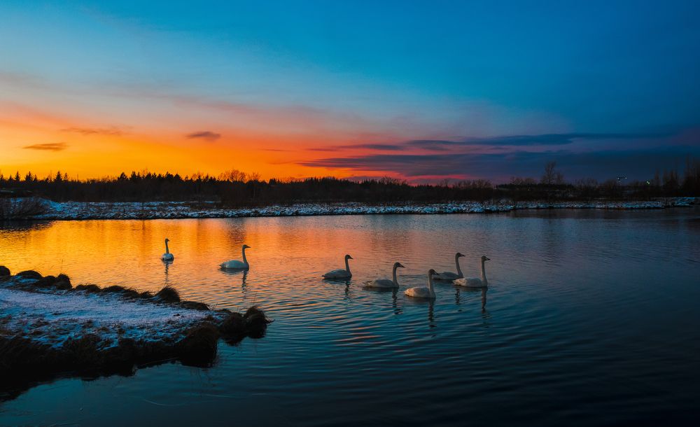 Photograph by Piotr Mickevic