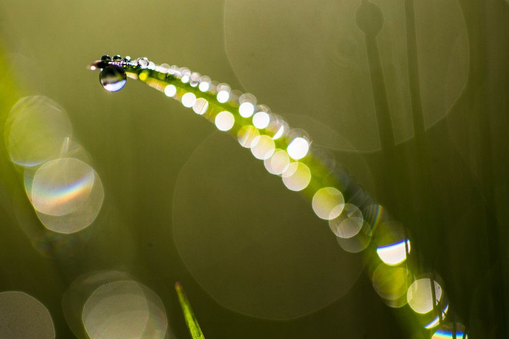 Фотография автора Josef Nový