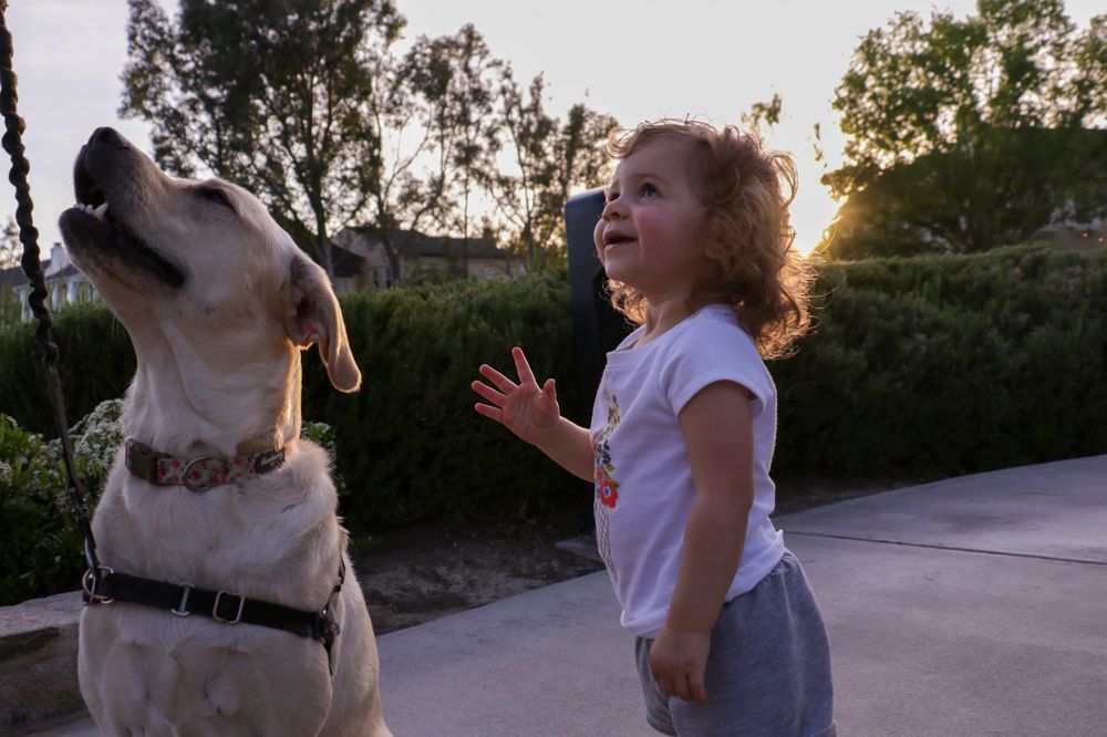 Photograph by Sona Kechiyants