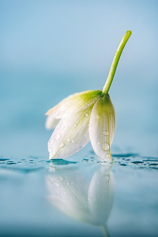 Photograph by Галина Царькова