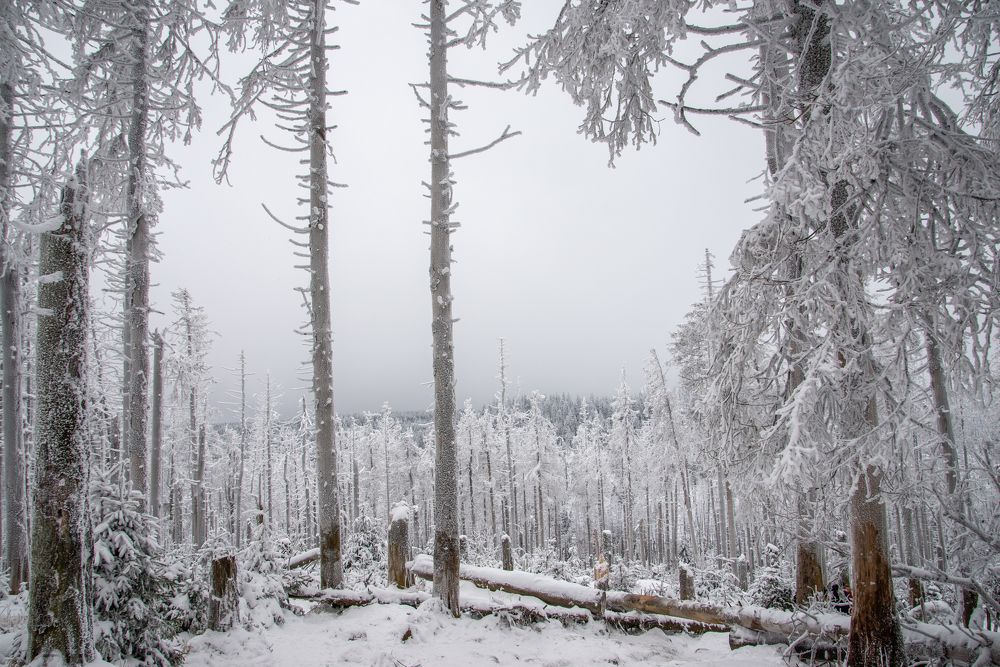 Photograph by ABHISHEK DEY