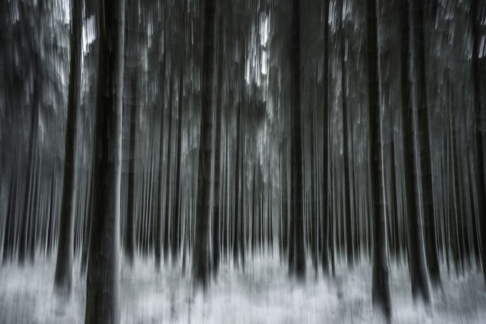 Photograph by ABHISHEK DEY