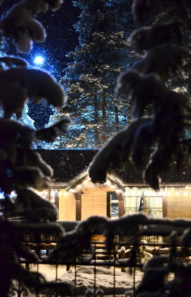 Photograph by Мария Заборовская