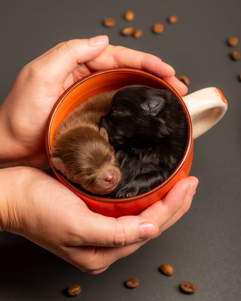 Photograph by Иван Грачев