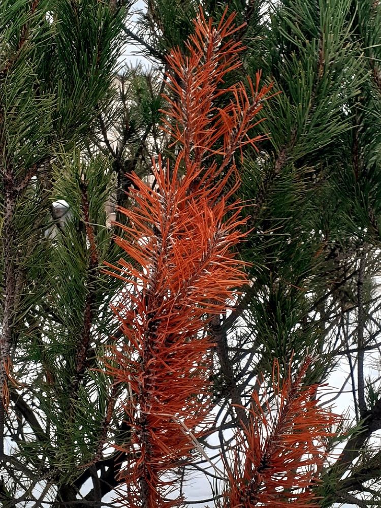 Photograph by Евгения Ульянова