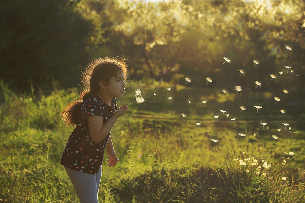 Лети, лети....