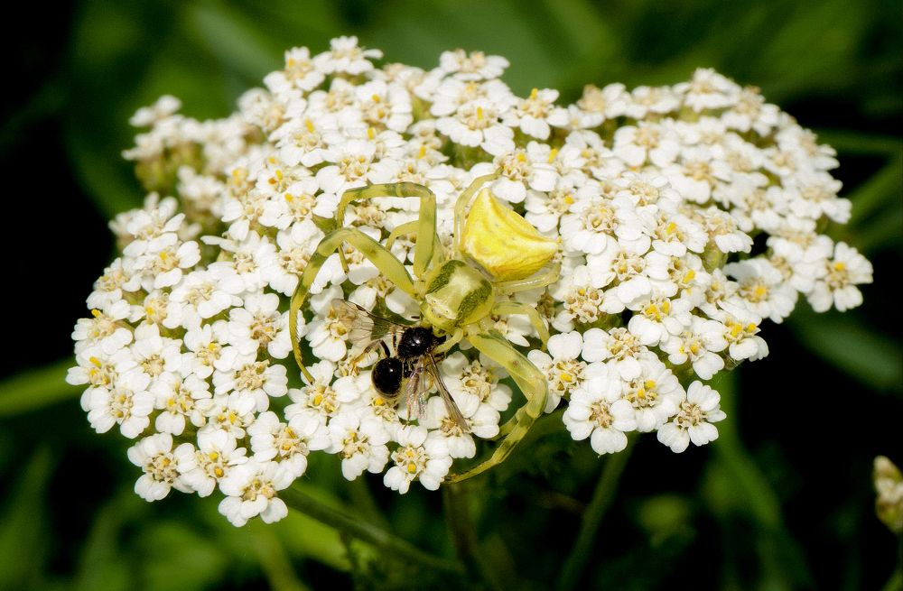 Photograph by Ави Христова