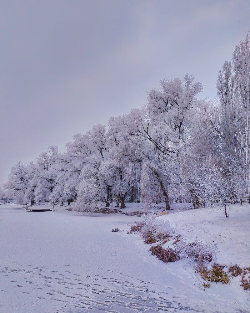 парк зимой