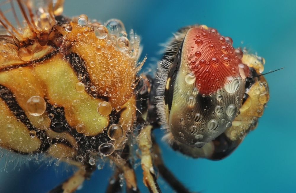 Photograph by Mark Kineth Casindac