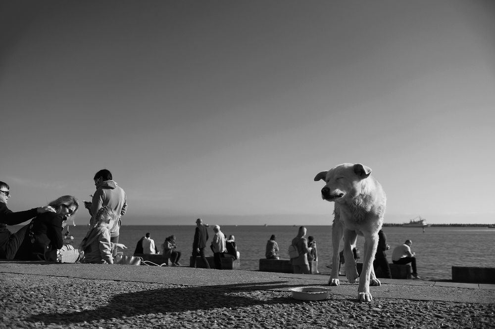 Photograph by Artem Gatin