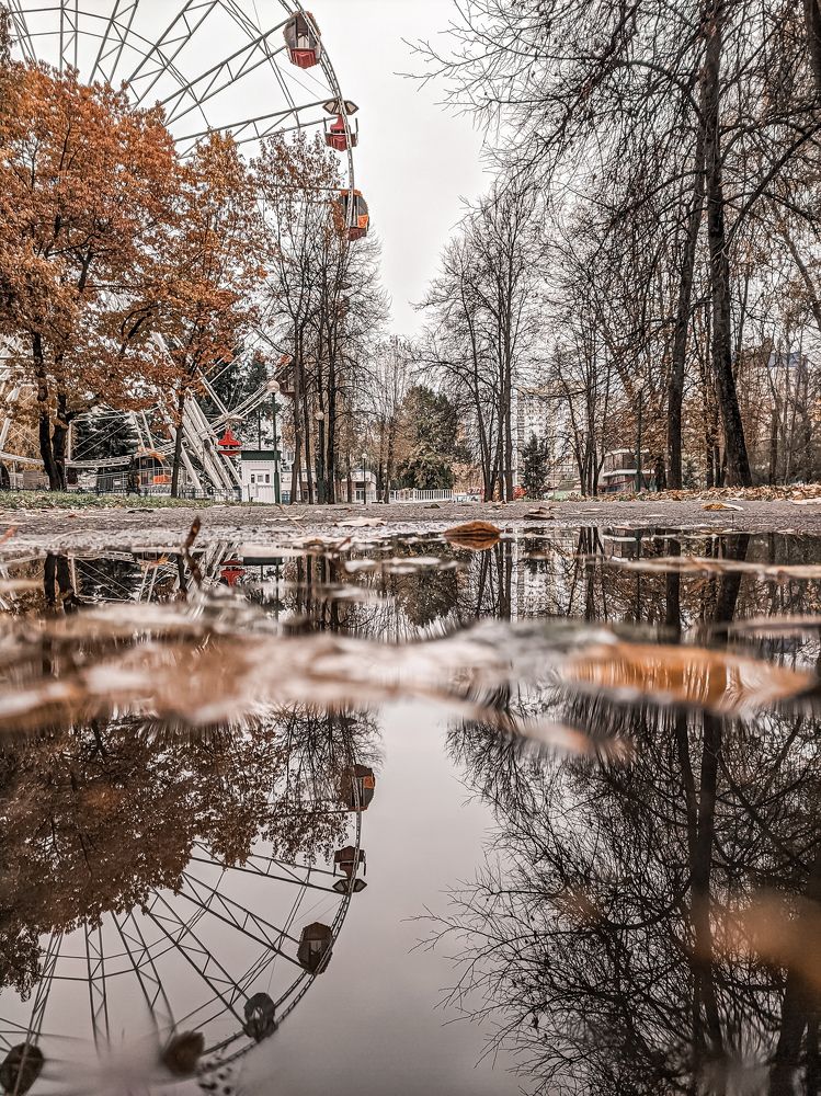 Photograph by Юлия Гашева