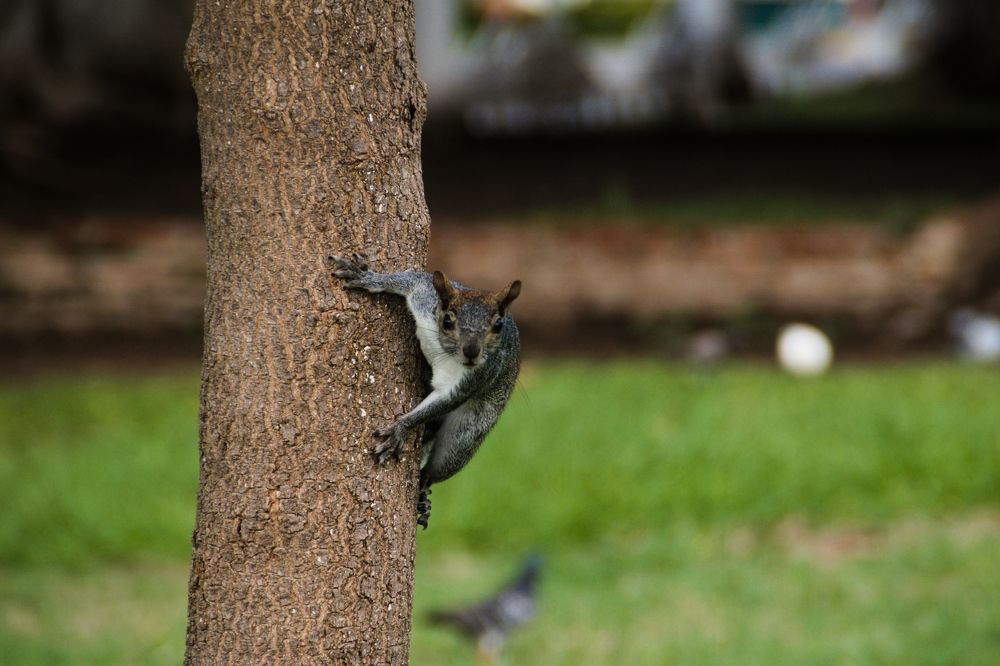 Photograph by Juan Carlos Pascual López