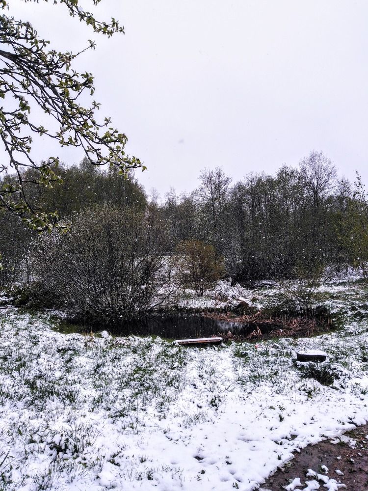 Photograph by Natalja Rogalova