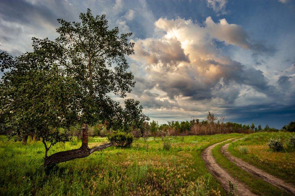 Photograph by Кобец Дмитрий