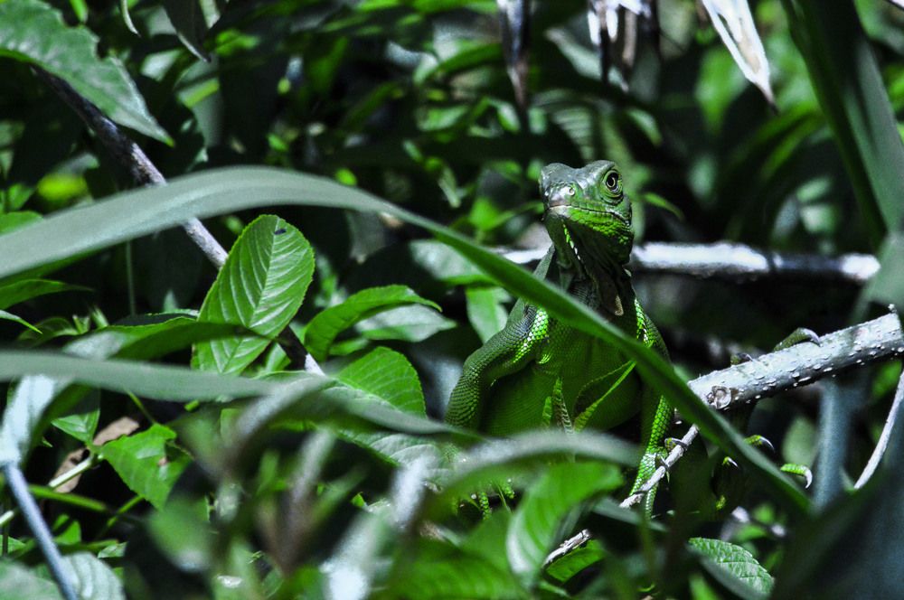 Photograph by Esteban Giraldo Arenas