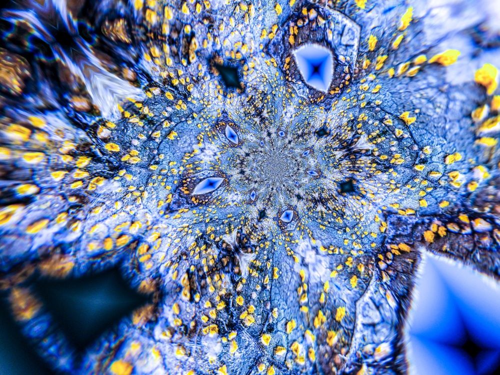 Photograph by Людмила Аксенова