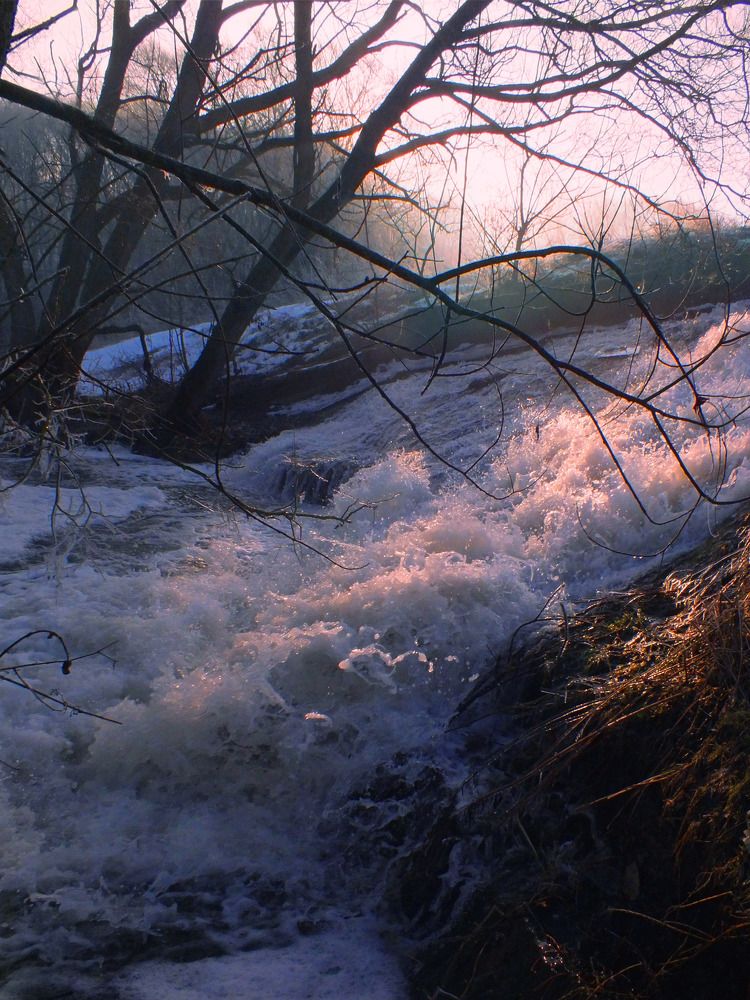 Photograph by Дмитрий Крылов