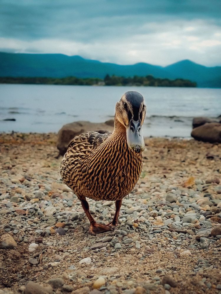 Photograph by Lynne Hunter