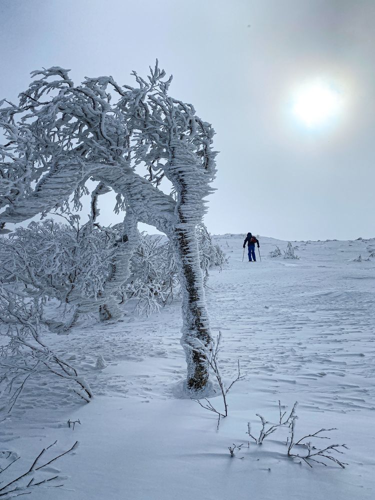 Гора Пушкинская. Остров Сахалин/Mount Pushkinskaya. Sakhalin island