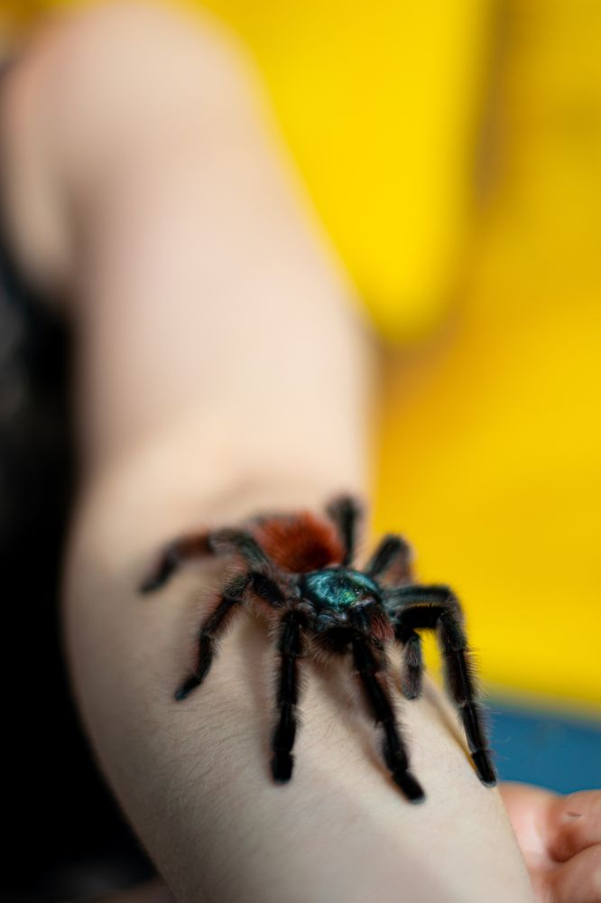 Photograph by НАТАЛЬЯ Мокроусова