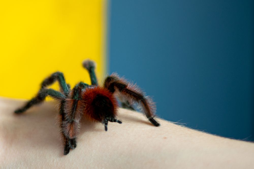 Photograph by НАТАЛЬЯ Мокроусова