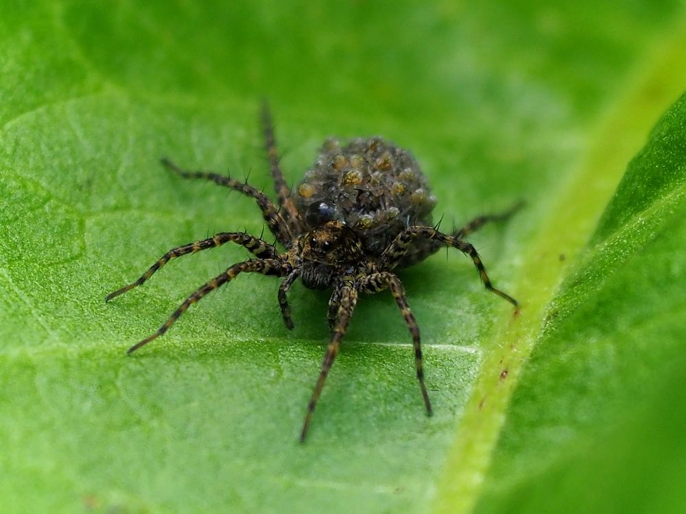 Photograph by Елена Харитонова