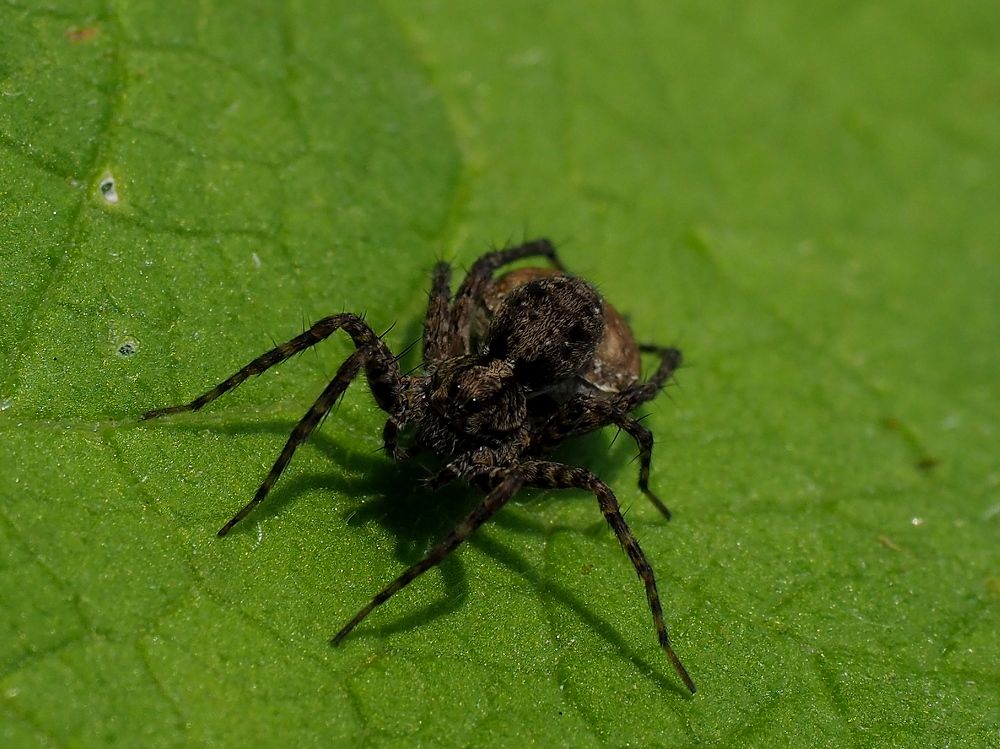 Photograph by Елена Харитонова