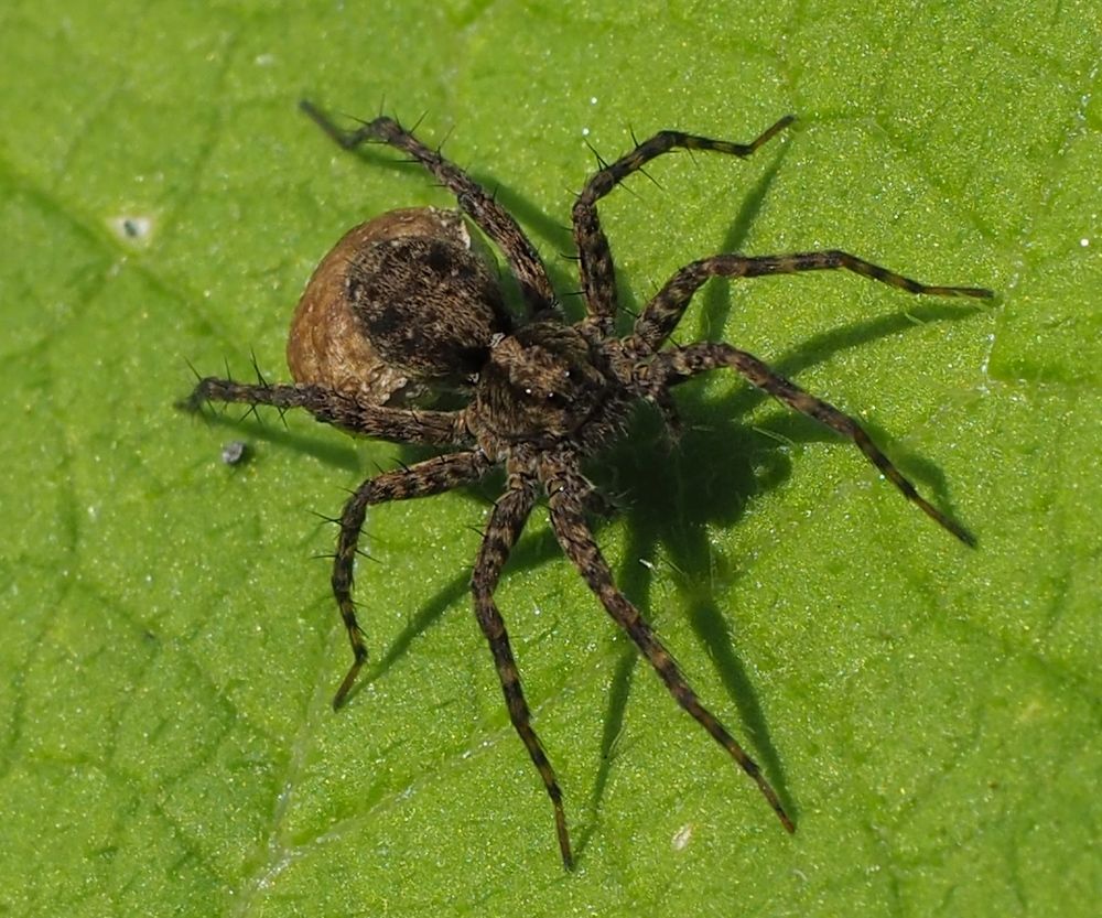 Photograph by Елена Харитонова