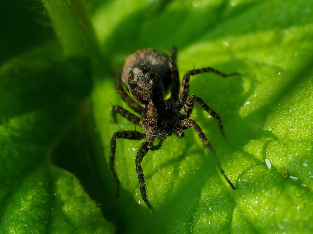 Photograph by Елена Харитонова