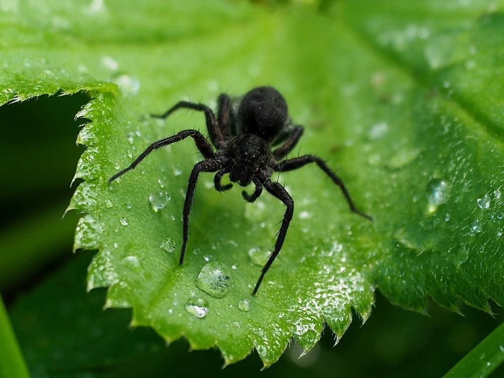 Photograph by Елена Харитонова