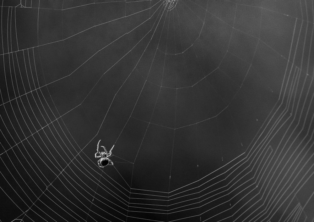 Photograph by Linto John