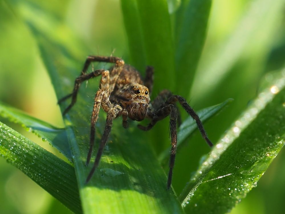 Photograph by Елена Харитонова