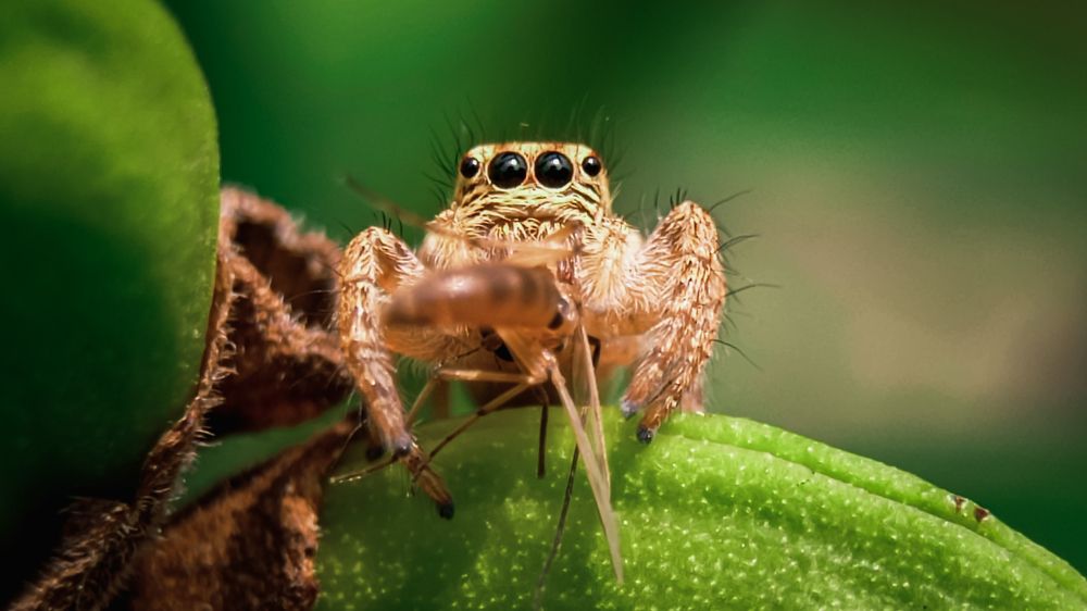 Photograph by Soaham Sur