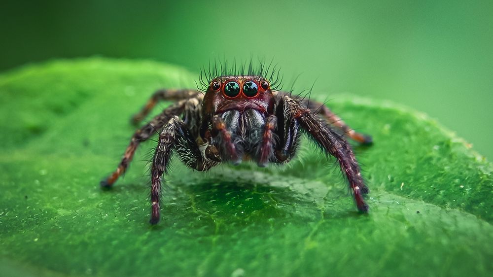 Photograph by Soaham Sur