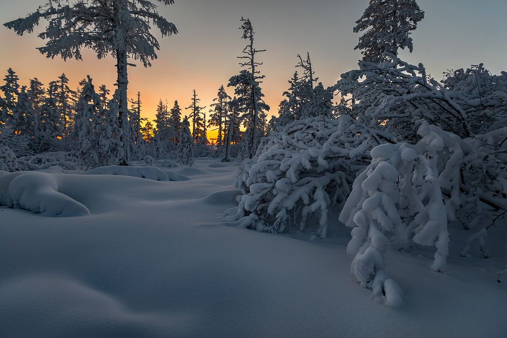 Photograph by Зарышнюк Роман