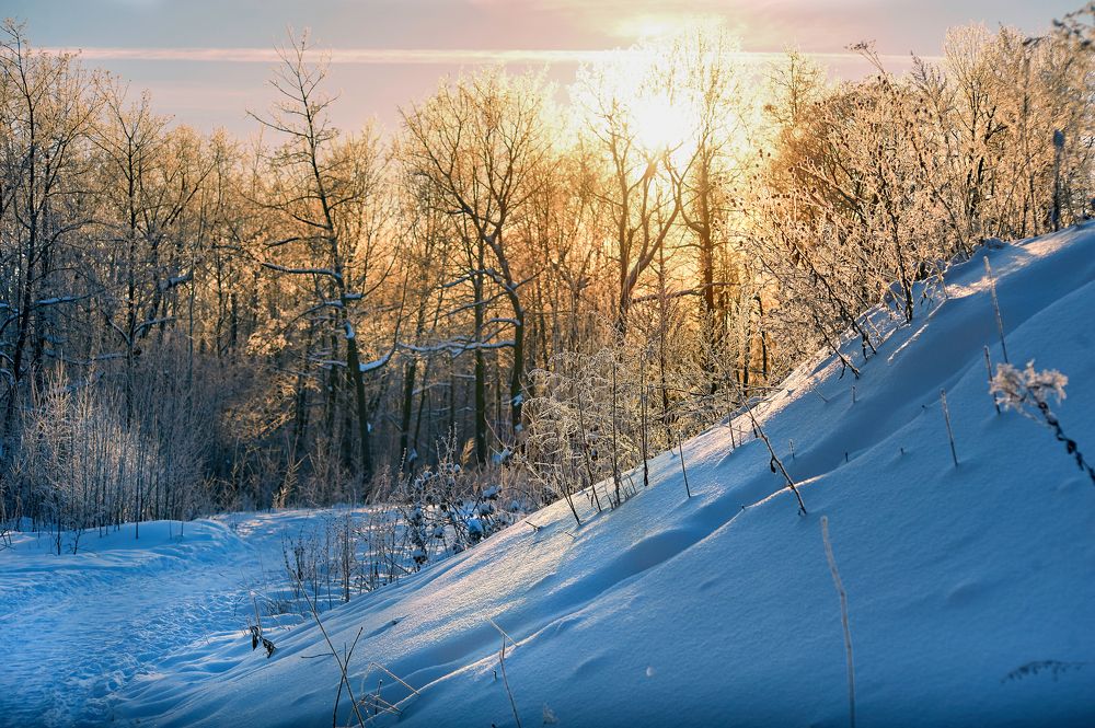 Photograph by Alexander Coin