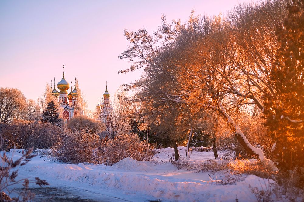 Photograph by Alexander Coin