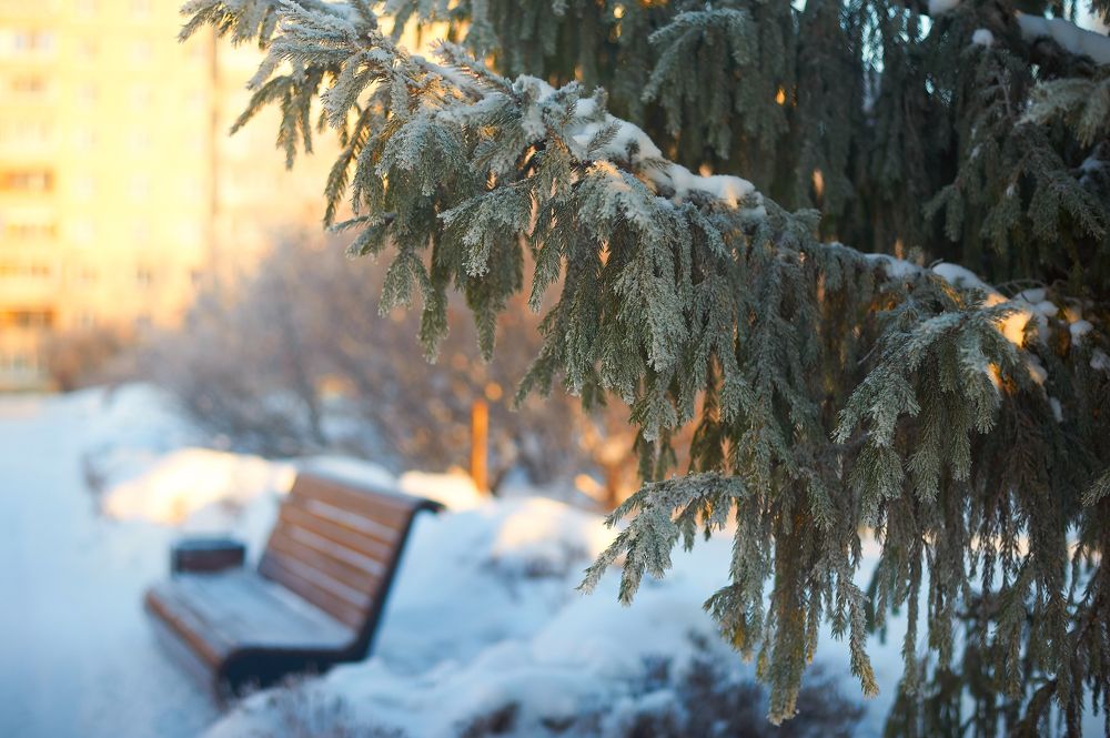 Photograph by Alexander Coin