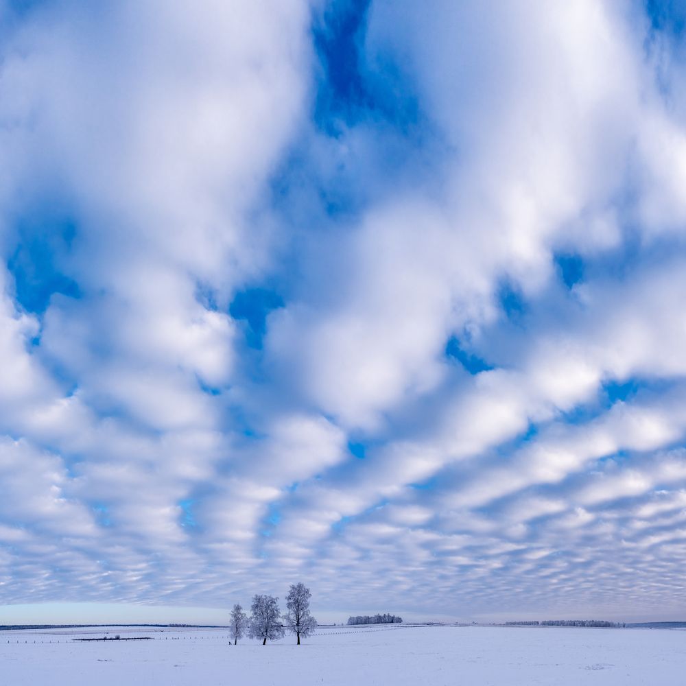 Фотография автора Михаил Тильпунов