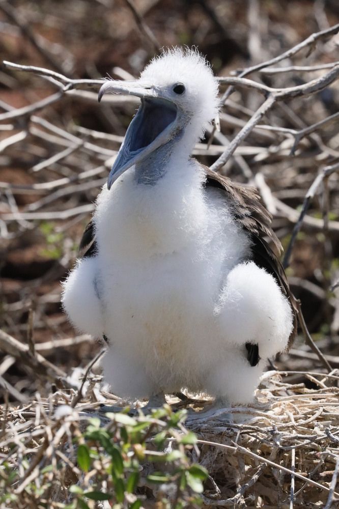 Photograph by ELVIRA LUNEVA