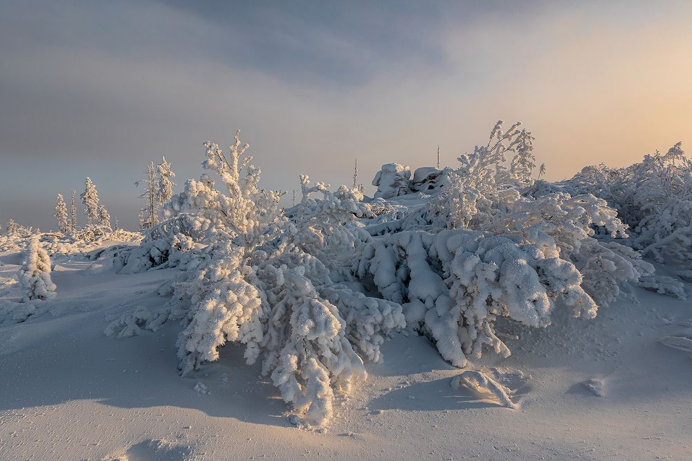 Photograph by Зарышнюк Роман
