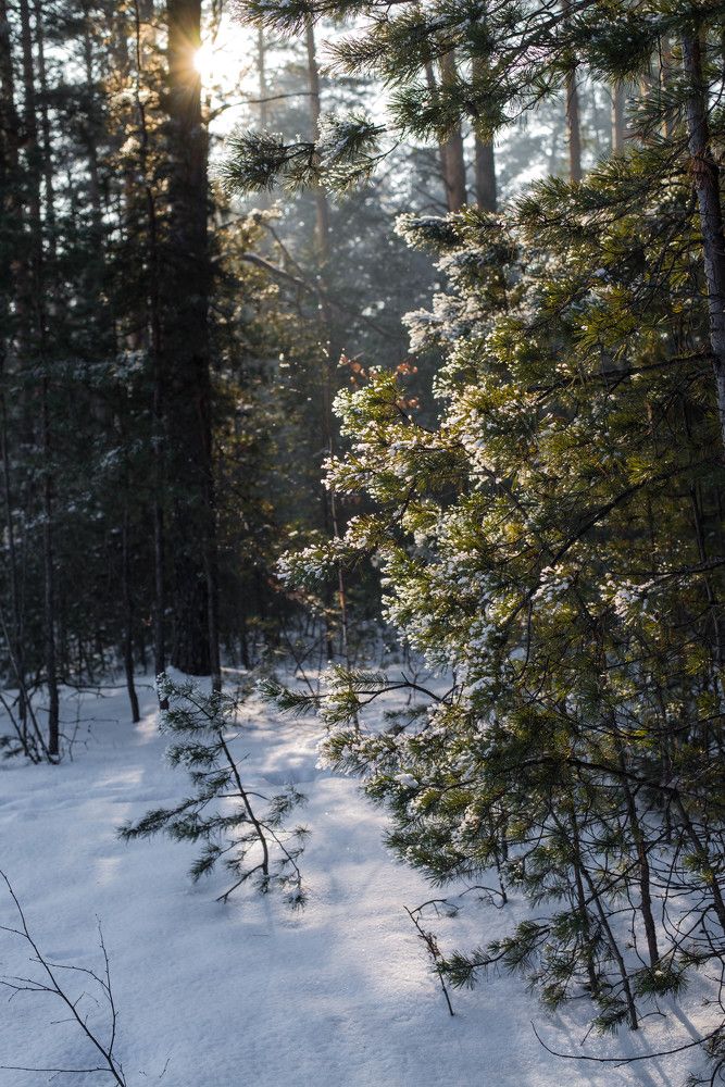 Photograph by Наталья Лещинская