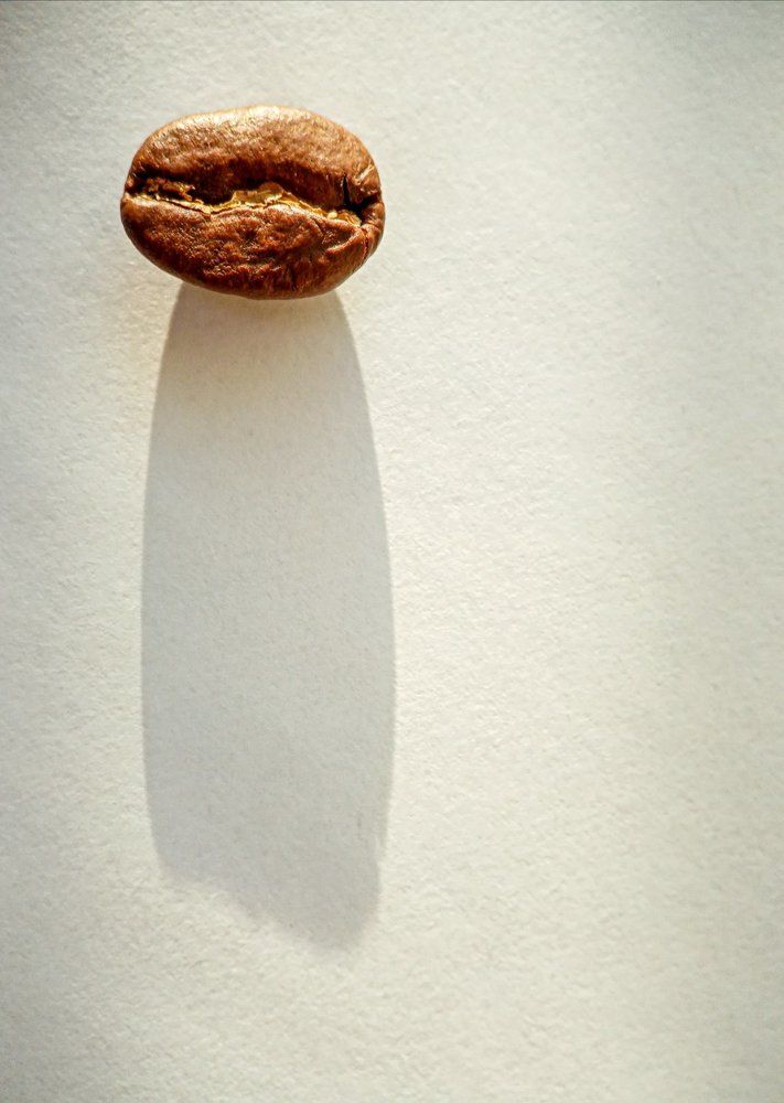 Photograph by Хамитова Светлана