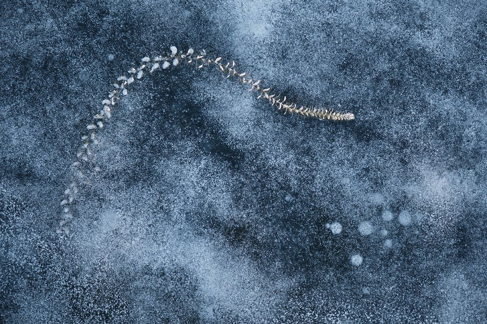 Photograph by Александр