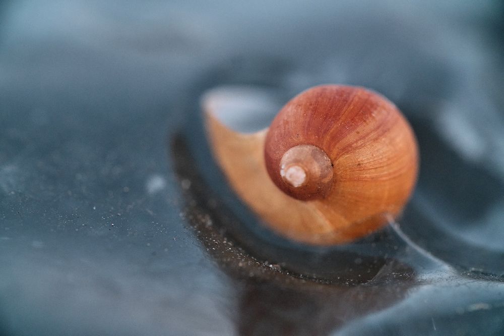 Photograph by Александр