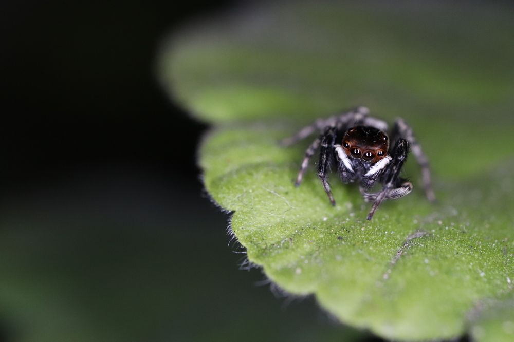 Photograph by Se Lena